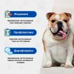 Фото 7 - от блох и клещей Modes Квадромидас таблетки от блох, клещей и гельминтов для собак