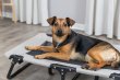 Фото 9 - лежаки, матрасы, коврики и домики Trixie Dog Lounger шезлонг лежак для собак, беж/черный