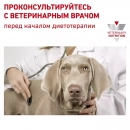 Фото - ветеринарные корма Royal Canin RENAL SMALL DOG корм для собак весом до 10 кг с хронической болезнью почек