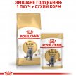 Фото - сухой корм Royal Canin BRITISH SHORTHAIR (БРИТАНСКАЯ КОРОТКОШЕРСТНАЯ) корм для кошек