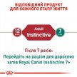 Фото 5 - вологий корм (консерви) Royal Canin INSTINCTIVE in Loaf - консерви для котів