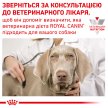 Фото - ветеринарные корма Royal Canin SATIETY WEIGHT MANAGEMENT (КОНТРОЛЬ ВЕСА) сухой лечебный корм для собак