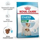 Фото - сухий корм Royal Canin MINI STARTER MOTHER & BABYDOG корм для вагітних та годуючих сук та цуценят міні-порід