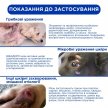 Фото 7 - противогрибковые препараты Modes Вивадерм обезболивающая, противогрибковая и противовоспалительная мазь для животных