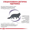 Фото - ветеринарные корма Royal Canin CALM сухой лечебный корм для кошек