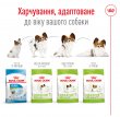 Фото 8 - сухий корм Royal Canin X-SMALL ADULT (СОБАКИ ДРІБНИХ ПОРІД ЕДАЛТ) корм для собак від 10 місяців