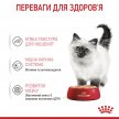 Фото - вологий корм (консерви) Royal Canin KITTEN LOAF вологий корм для кошенят віком 4-12 місяців