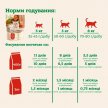 Фото 7 - сухой корм Mera Nurture Adult Insekt сухой корм для кошек НАСЕКОМЫЕ