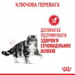 Фото 6 - влажный корм (консервы) Royal Canin URINARY CARE влажный корм для кошек