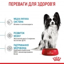 Фото - вологий корм (консерви) Royal Canin X-SMALL PUPPY вологий корм для цуценят мініатюрних порід