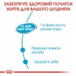 Фото - влажный корм (консервы) Royal Canin STARTER MOUSSE (СТАРТЕР МУС) влажный корм для щенков и сук при беременности и лактации