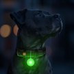 Фото 4 - амуниция Collar WAUDOG фонарик на ошейник для собак и кошек