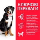 Фото - сухий корм Hill's Science Plan Fitness ADULT LARGE корм для собак великих порід З КУРКОЮ