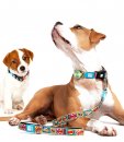 Фото - амуніція Max & Molly Urban Pets Smart ID Collar нашийник для собак з QR-кодом Comic