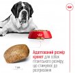 Фото 3 - сухий корм Royal Canin GIANT ADULT (СОБАКИ ГІГАНТСЬКИХ ПОРІД ЕДАЛТ) корм для собак від 18 місяців