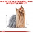 Фото - сухий корм Royal Canin YORKSHIRE TERRIER ADULT (ЙОРКШИР ТЕР'ЄР ЕДАЛТ) корм для собак від 10 місяців