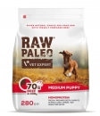 Фото - сухий корм Vet Expert Raw Paleo (Роу Палео) Medium Puppy Beef сухий корм для цуценят середніх порід ЯЛОВИЧИНА