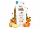 Фото - сухой корм Brit Care Dog Grain Free Senior & Light Salmon беззерновой сухой корм для кожи и шерсти стареющих собак ЛОСОСЬ