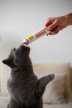 Фото 5 - витамины и минералы Gimcat (Джимкет) MULTI-VITAMIN EXTRA PASTE (МУЛЬТИВИТАМИННАЯ ПАСТА EКСТРА БЕЗ САХАРА) лакомство для кошек