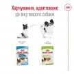 Фото 4 - влажный корм (консервы) Royal Canin X-SMALL ADULT влажный корм для собак миниатюрных пород