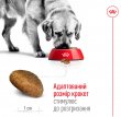 Фото 4 - сухий корм Royal Canin MAXI ADULT 5+ (СОБАКИ ВЕЛИКИХ ПОРІД ЕДАЛТ 5+) корм для собак від 5 років