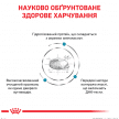 Фото 3 - ветеринарные корма Royal Canin ANALLERGENIC (АНАЛЕРДЖЕНИК) сухой лечебный корм для собак