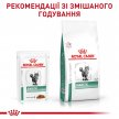 Фото 8 - ветеринарные корма Royal Canin DIABETIC лечебные консервы для кошек с сахарным диабетом