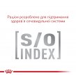 Фото 5 - ветеринарные корма Royal Canin DIABETIC лечебные консервы для кошек с сахарным диабетом