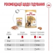 Фото 2 - влажный корм (консервы) Royal Canin FRENCH BULLDOG ADULT влажный корм для собак ФРАНЦУЗКИЙ БУЛЬДОГ