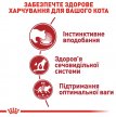 Фото 9 - влажный корм (консервы) Royal Canin INSTINCTIVE in GRAVY консервы для кошек