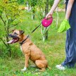 Фото 8 - рулетки WAUDOG R-leash повідець рулетка з контейнером для пакетів, світловідбивна стрічка, рожевий