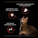 Фото - сухий корм Purina Pro Plan (Пурина Про План) Adult Vital Functions Salmon сухий корм для кішок ЛОСОСЬ