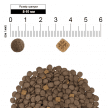 Фото 2 - сухой корм Wanpy Adult Cat Grain Free Salmon сухой беззерновой корм для кошек ЛОСОСЬ