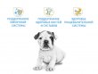 Фото 6 - сухой корм Royal Canin BULLDOG PUPPY (БУЛЬДОГ ПАППИ) корм для щенков до 12 месяцев