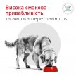 Фото 5 - ветеринарные корма Royal Canin Glycobalance сухой лечебный корм для собак при сахарном диабете