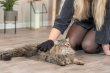 Фото 7 - расчески, щетки Trixie Coat Care Glove рукавица-щетка массажная для кошек (23132)