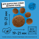 Фото - сухий корм Half&Half Adult Large Breed Beef сухий корм для дорослих собак великих порід ЯЛОВИЧИНА