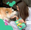 Фото 7 - лакомства Mavsy Dried Rabbit Chip лакомство для собак с чувствительным пищеварением КРОЛИК
