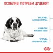 Фото 7 - сухой корм Royal Canin GIANT JUNIOR (ЮНИОРЫ ГИГАНТСКИХ ПОРОД) корм для щенков от 8-24 месяцев