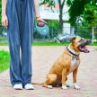 Фото 4 - рулетки WAUDOG R-leash поводок рулетка с контейнером для пакетов, светоотражающая лента, голубой