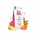 Фото - сухой корм Brit Care Dog Grain Free Puppy Salmon беззерновой сухой корм для кожи и шерсти щенков ЛОСОСЬ