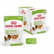 Фото 2 - влажный корм (консервы) Royal Canin X-SMALL ADULT влажный корм для собак миниатюрных пород