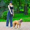 Фото 5 - рулетки WAUDOG R-leash поводок рулетка с контейнером для пакетов, светоотражающая лента, черный