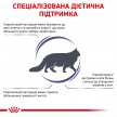 Фото - ветеринарные корма Royal Canin NEUTERED WEIGHT BALANCE влажный корм для стерилизованных кошек с лишним весом