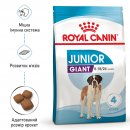 Фото - сухий корм Royal Canin GIANT JUNIOR (ЮНІОРИ ГІГАНТСЬКИХ ПОРОД) корм для цуценят від 8-24 місяців