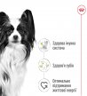 Фото 6 - сухий корм Royal Canin X-SMALL ADULT (СОБАКИ ДРІБНИХ ПОРІД ЕДАЛТ) корм для собак від 10 місяців