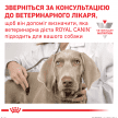 Фото 7 - ветеринарные корма Royal Canin ANALLERGENIC (АНАЛЕРДЖЕНИК) сухой лечебный корм для собак