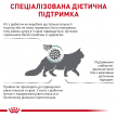 Фото 2 - ветеринарні корми Royal Canin DIABETIC DS46 (ДІАБЕТИК) сухий лікувальний корм для котів від 1 року