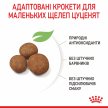 Фото 5 - сухий корм Royal Canin MAXI PUPPY корм для цуценят великих порід від 2 до 15 місяців