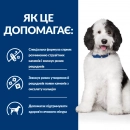 Фото - ветеринарні корми Hill's Prescription Diet C/D Multicare Urinary Care корм для собак з куркою